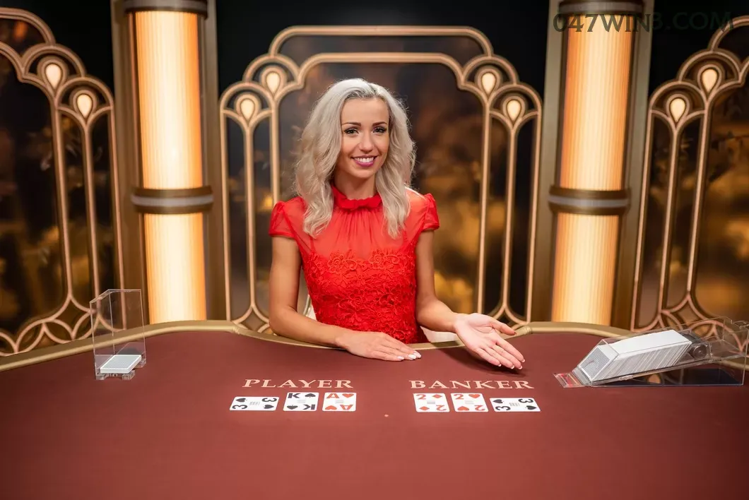 Casino Login 047win